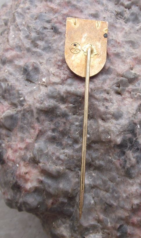 Antique Podebrady Czech Town Coat of Arms Heraldic Spread Eagle Crest Pin Badge - Badgecrazy