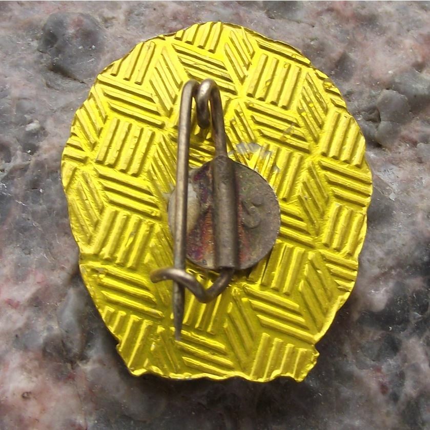 1989 FC Olt Scornicesti Romania Romanian Soccer Football Shield Crest Pin Badge - Badgecrazy