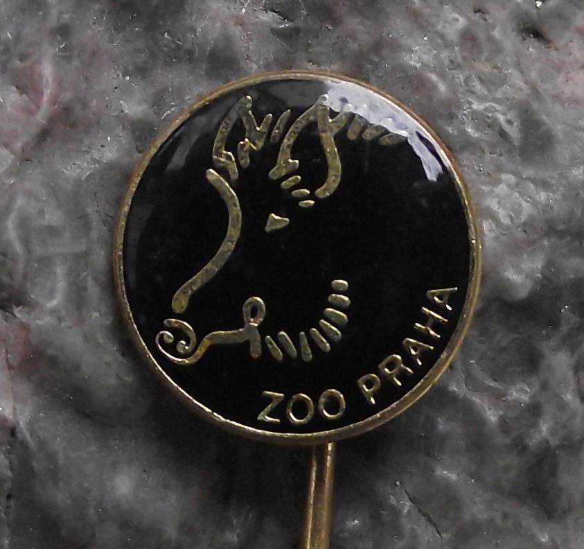 Antique Prague Zoo Praha Wild Pig Hairy Boar Czech Safari Park Tourist Pin Badge - Badgecrazy