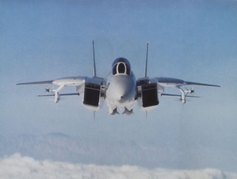1978 Grumman Aerospace F-14 Tomcat US Navy Aircraft Photographic Print Photo - Badgecrazy