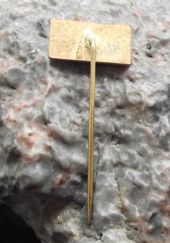 Antique Podolsky Most Bridge Pisek Souvenier Czechoslovakia River Pin Badge - Badgecrazy