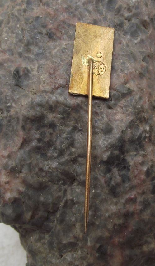 Antique Roudnice nad Labem Raudnitz Elbe Tourist Castle Souvenier Pin Badge - Badgecrazy