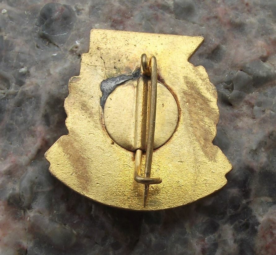 Antique Duna Danube Torzsgarda 1841 Hungary Hungarian Shoe Pin Badge - Badgecrazy