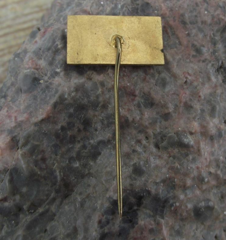 Antique Silon Czech Nylon Tackle Line Fishing Fish 25th Anniversary Pin Badge - Badgecrazy