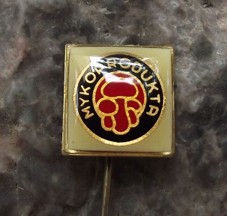 Cluster of Edible Bolete Mushrooms Fungus Mycologist Mykoprodukta Pin Badge - Badgecrazy