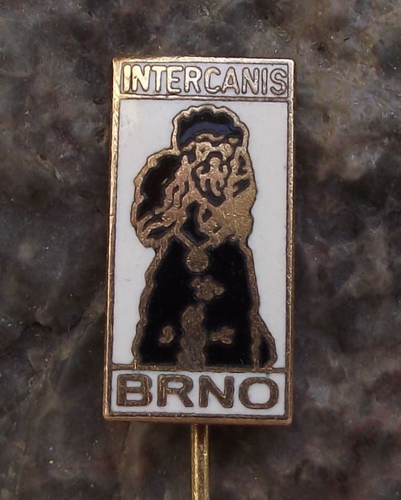 Intercanis Poodle Breed Championship Dog Breeders Show Event Brno Pin Badge - Badgecrazy