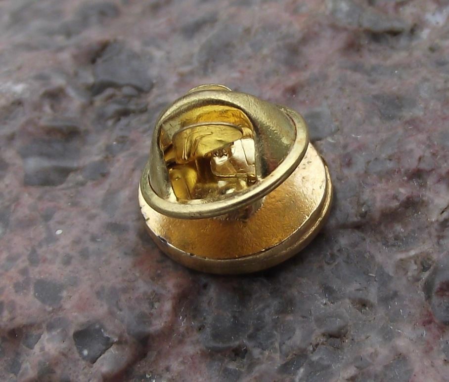 Antique Aurora Turin Italy Venaria Reale Heraldic Crest Coat of Arms Pin Badge - Badgecrazy