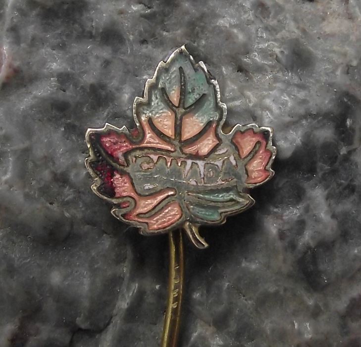 Antique Canada Maple Leaf Autumn Colours Fall National Canadian Flag Pin Badge - Badgecrazy