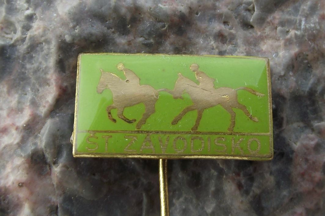 Slovakia State National Race Course Bratislava Horse Racing Finish Pin Badge - Badgecrazy