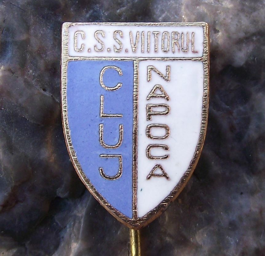 Vintage Cluj Napoca CSS Viitorul Romania Soccer Football Club Crest Pin Badge - Badgecrazy