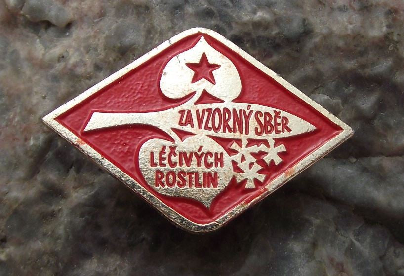 For Outstanding Collection of Medicinal Herbs Czech Herbalist Award Pin Badge - Badgecrazy