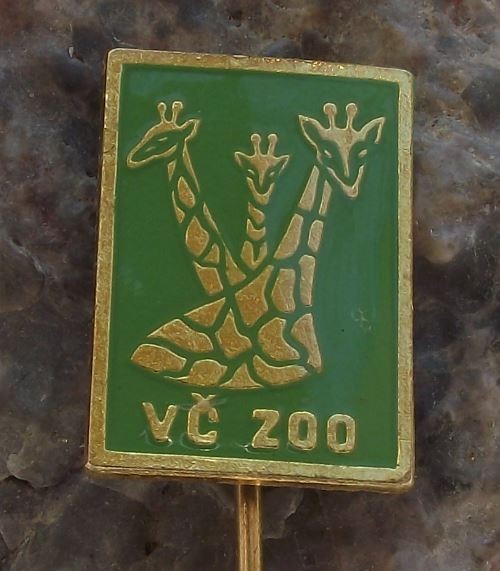 Giraffe Herd Necks Heads Safari Park Dvur Kralove Czech Zoo Visitors Pin Badge - Badgecrazy