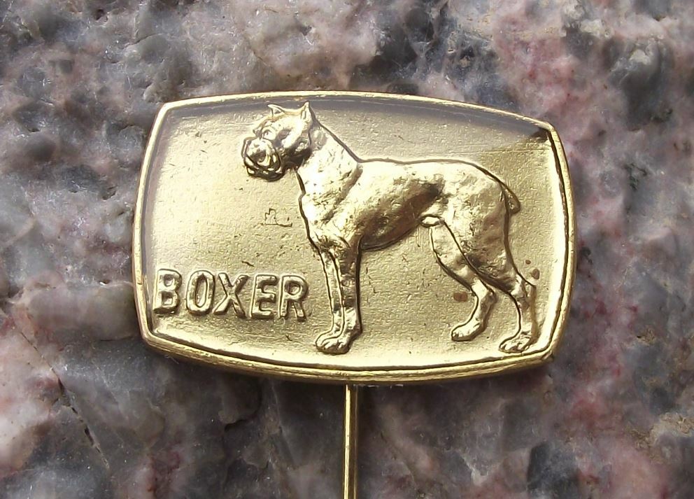 Antique German Boxer Pedigree Czech Dog Breeders Association Pin Badge - Badgecrazy