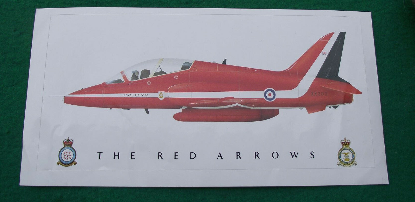British Aerospace BAe Red Arrows Hawk 100 XX260 Bird Strike Jet Sticker Decal - Badgecrazy