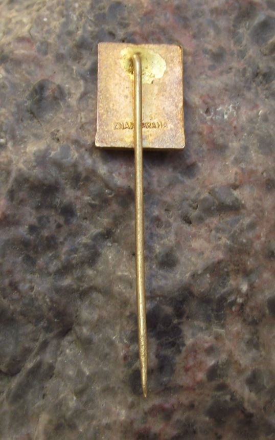 Antique Suchy Vrch Durrer Berg Eagle Orlicke Mountains Lookout Tower Pin Badge - Badgecrazy