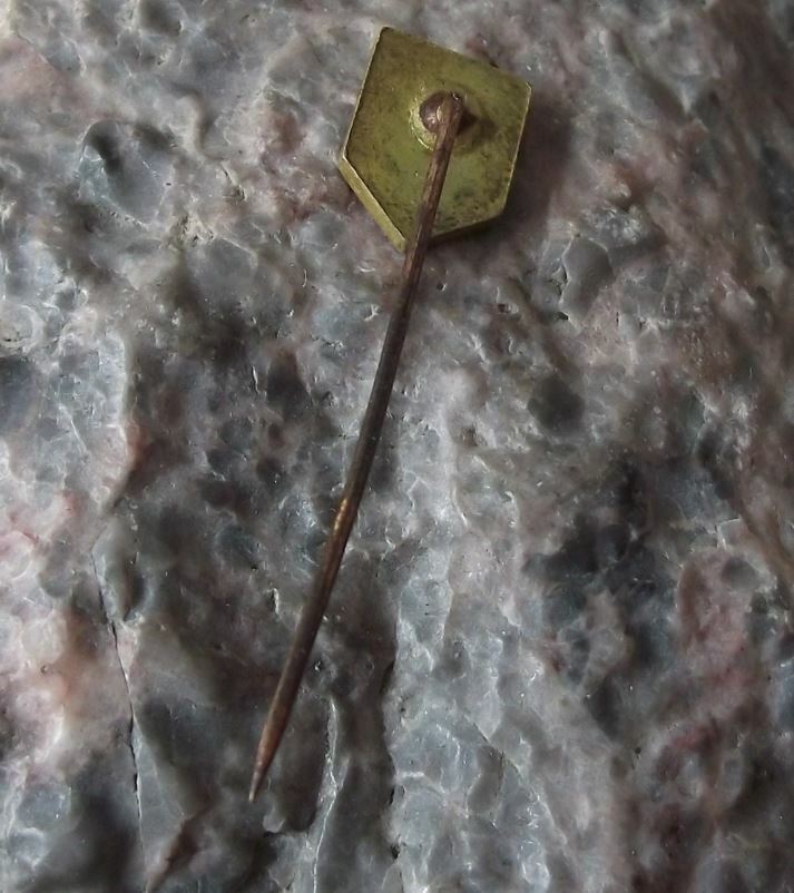 Vintage Czech Republic Czechoslovakia CSSR National Flag Shield Pin Badge - Badgecrazy