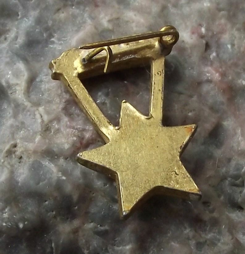 Antique Hungary Communist Coat of Arms Heraldic Crest Wheat Hammer Pin Badge - Badgecrazy