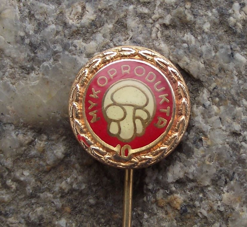 Vintage Button Edible Mushrooms Fungus Mycologist 10th Anniversary Pin Badge - Badgecrazy