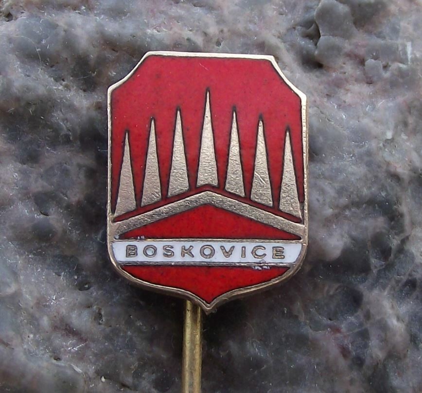Antique Boskovice Czechoslovakia Coat of Arms Heraldic Crest Pin Badge - Badgecrazy