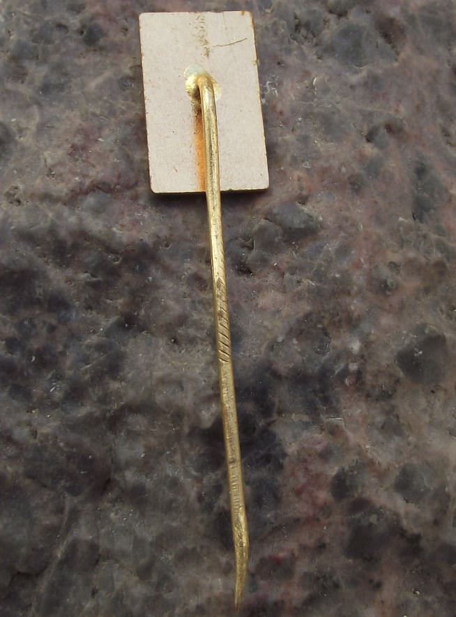 Lednice Eisgrub UNESCO Palace Castle Tower Tourist Travel Souvenier Pin Badge - Badgecrazy