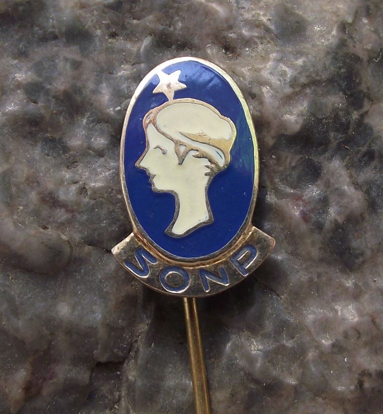 Antique Roman Greek Elegant Woman Lady Goddess Bust Cameo Poldi SONP Pin Badge - Badgecrazy