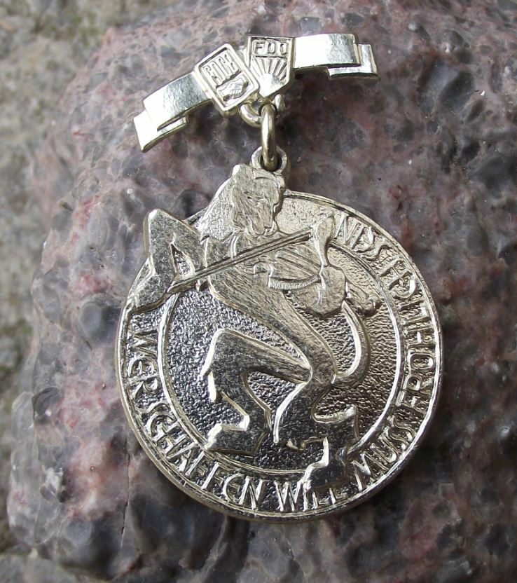 FDJ Freie Deutsche Jugend East Germany DDR Free Youth Violin Musician Pin Badge - Badgecrazy