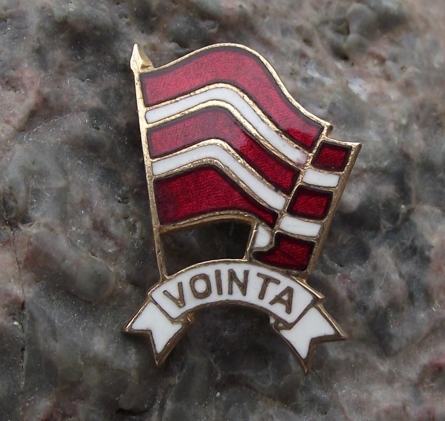 Antique Vointa FC Football Club Bucharest Romania Soccer Flag Pin Badge - Badgecrazy