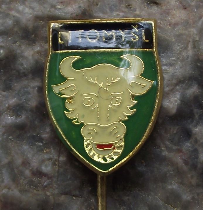 Antique Litomysl Black Bull Ox Head Czech Heraldic Crest Coat of Arms Pin Badge - Badgecrazy