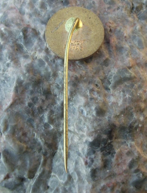 Antique Sarajevska Pivara 1864 Sarajevo Bosnia Brewery Lager Beer Pin Badge - Badgecrazy