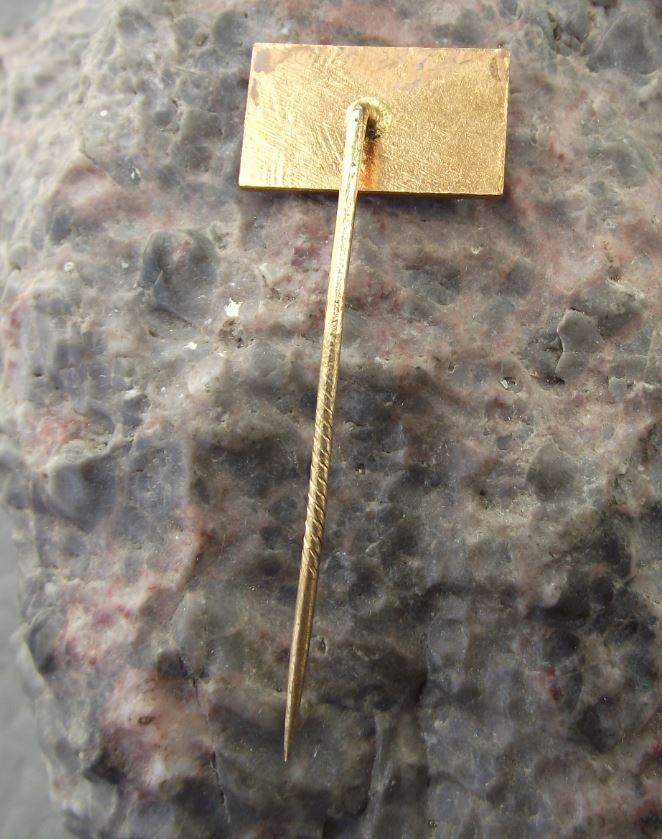 Vintage Zamek Lysice Palace Chateau Moravia Czech Tourist Souvenier Pin Badge