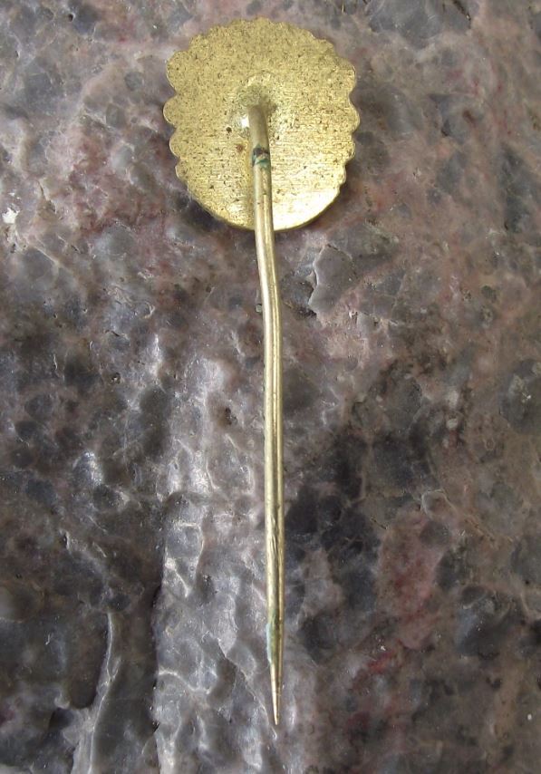 Antique Kranj Krainburg Slovenia Heraldic Crest Eagle Coat of Arms Pin Badge - Badgecrazy