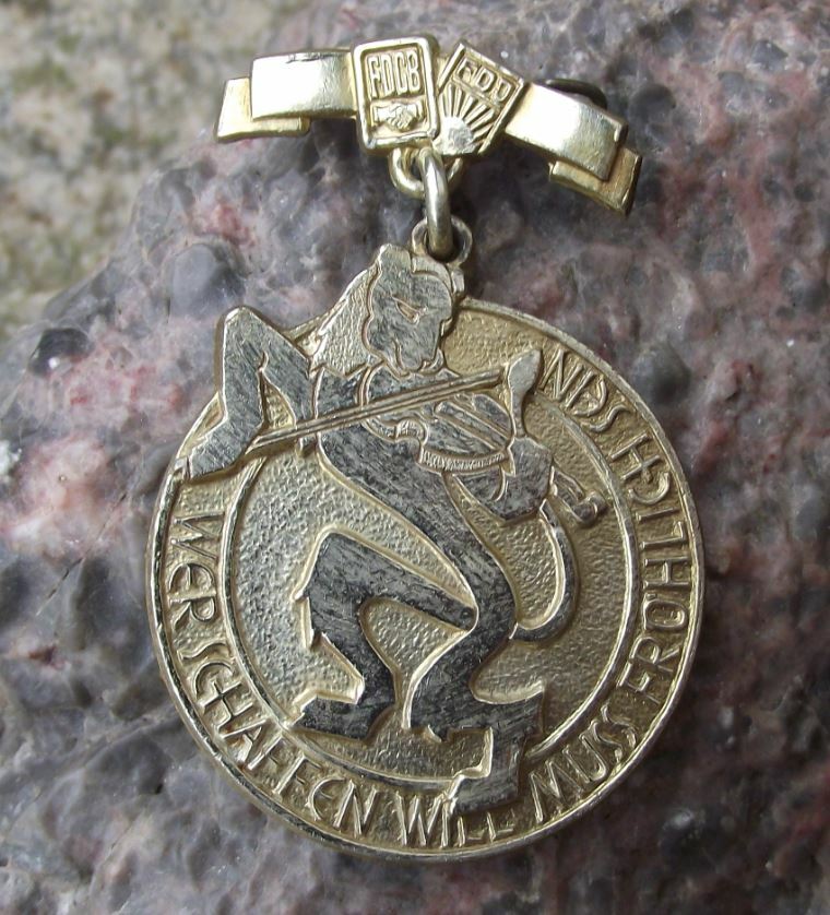 FDJ Freie Deutsche Jugend East Germany DDR Free Youth Violin Musician Pin Badge - Badgecrazy