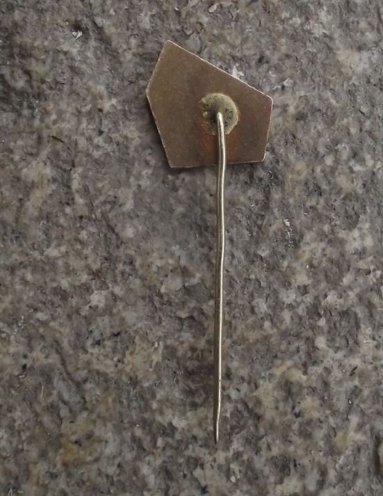 Antique Most Brux Hvevin Czech Castle Lookout Tower Souvenier Travel Pin Badge - Badgecrazy