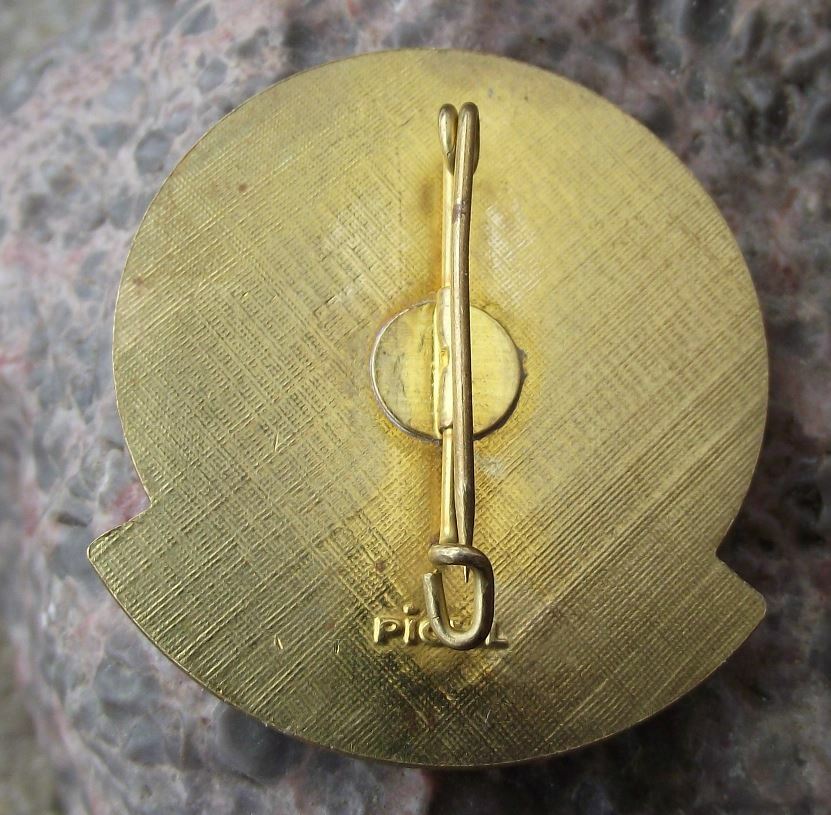 Vintage Nesslewang Shooting Association Guild Official Members Eagle Pin Badge - Badgecrazy