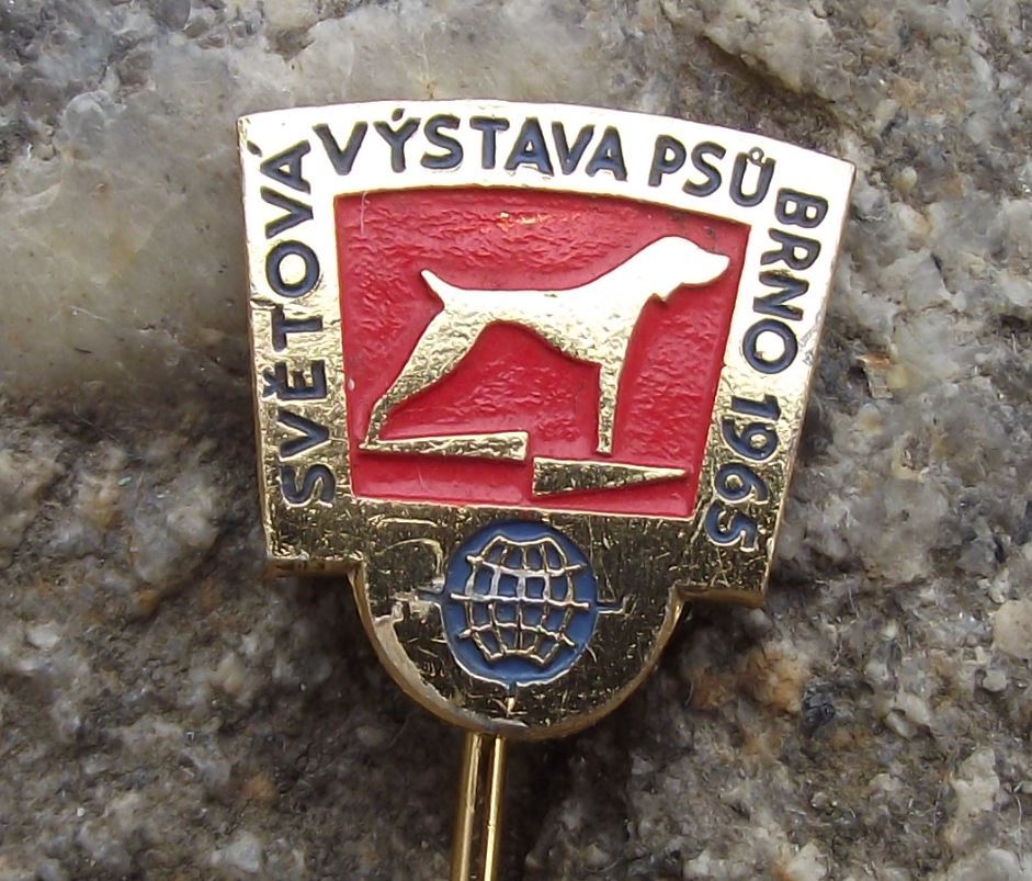 1965 International Dog Breeders Club Show Event Brno Pointer Breed Pin Badge - Badgecrazy