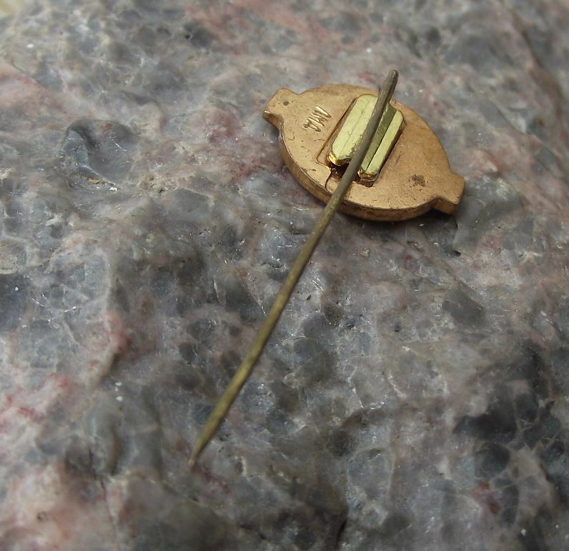 Vintage All Russian Exhibition Centre BCXB BAHX Museum Radio Sine Wave Pin Badge - Badgecrazy