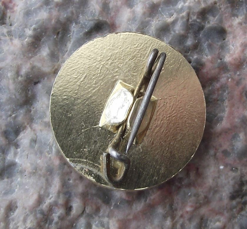 Vintage East German DDR Youth Learning Award Hammer Compass Book Logo Pin Badge - Badgecrazy