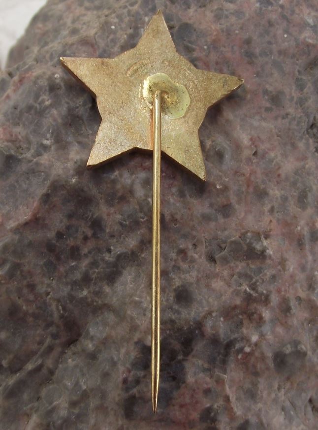 Antique Svazarm Army Military Reserves Star & Laurel Leaves Readiness Pin Badge - Badgecrazy