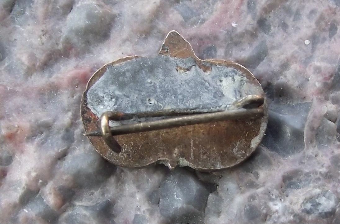 Antique Soviet Union Russia Hungary Flag Sports Flaming Torch Festival Pin Badge - Badgecrazy