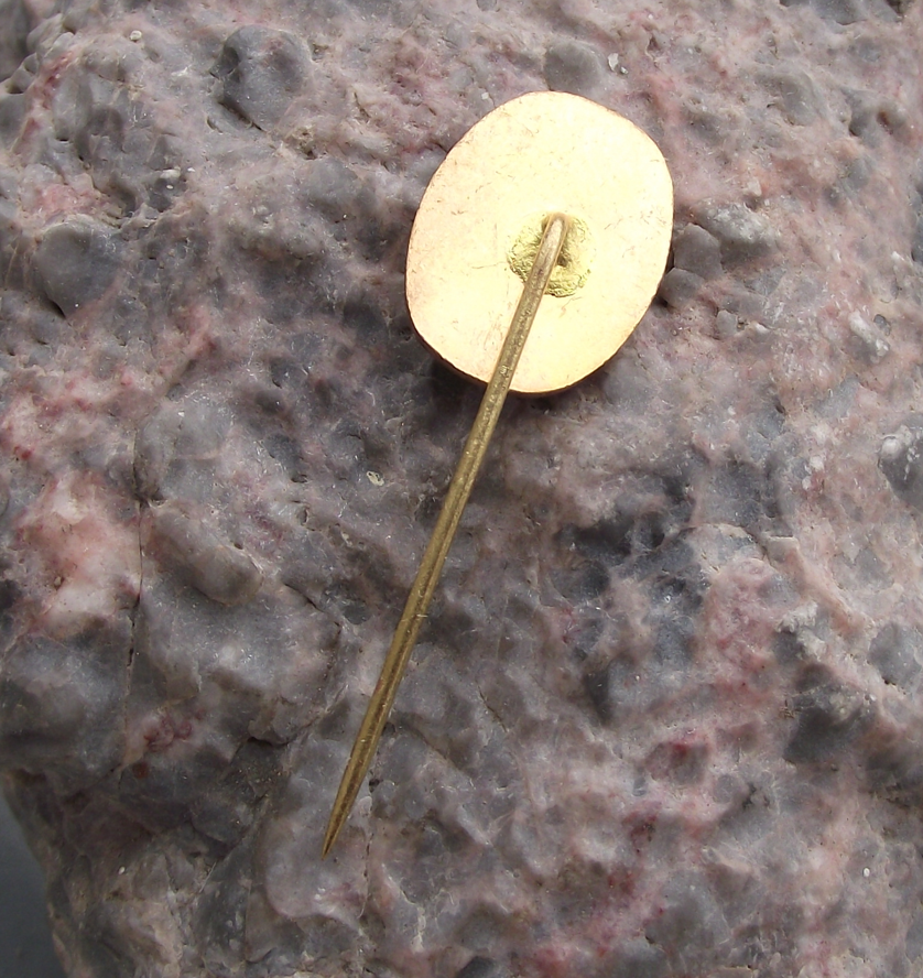 Radio Prague Praha Czechoslovakia CSSR Broadcasting Tower Mast Oval Pin Badge - Badgecrazy