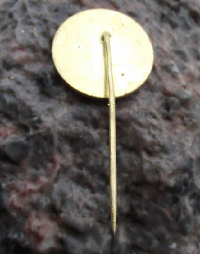 Vintage Karlstejn Karlstein Castle Czech Czechoslovakia Tourist Pin Badge - Badgecrazy