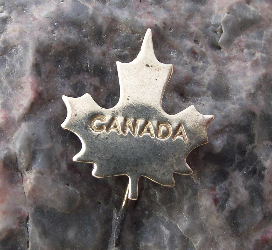 Antique Golden Canada Maple Leaf National Canadian Emblem Motif Pin Badge - Badgecrazy