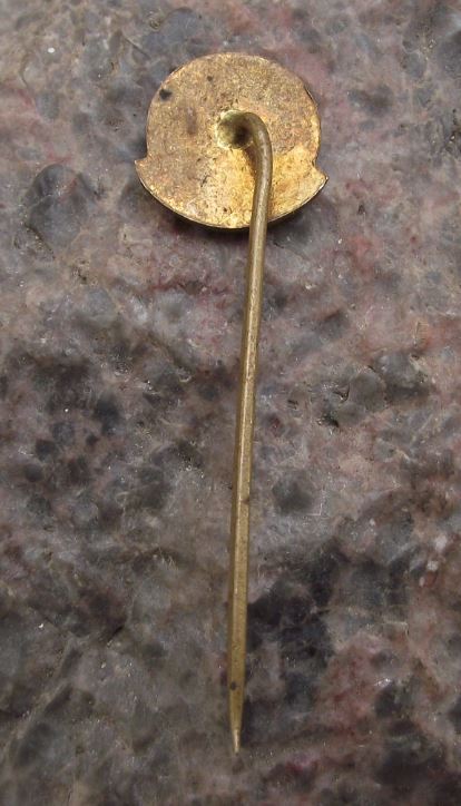 1960 Czech Coal Fired Electricity Power Station 60th Anniversary Pin Badge - Badgecrazy