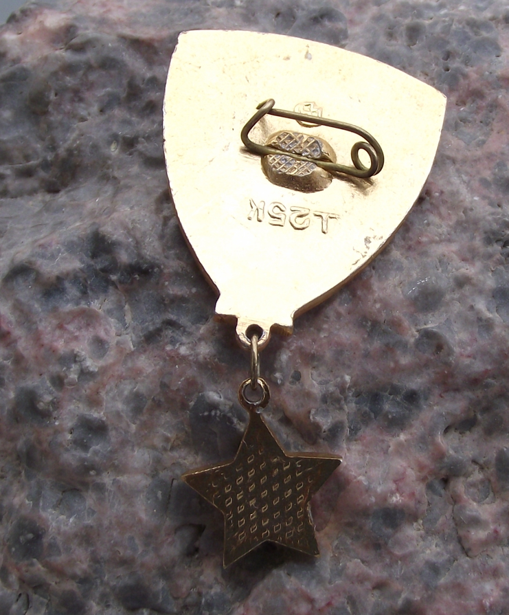 Vintage Kiev Ukraine Hero City of Heroes Order of Lenin WW2 Crest Pin Badge - Badgecrazy