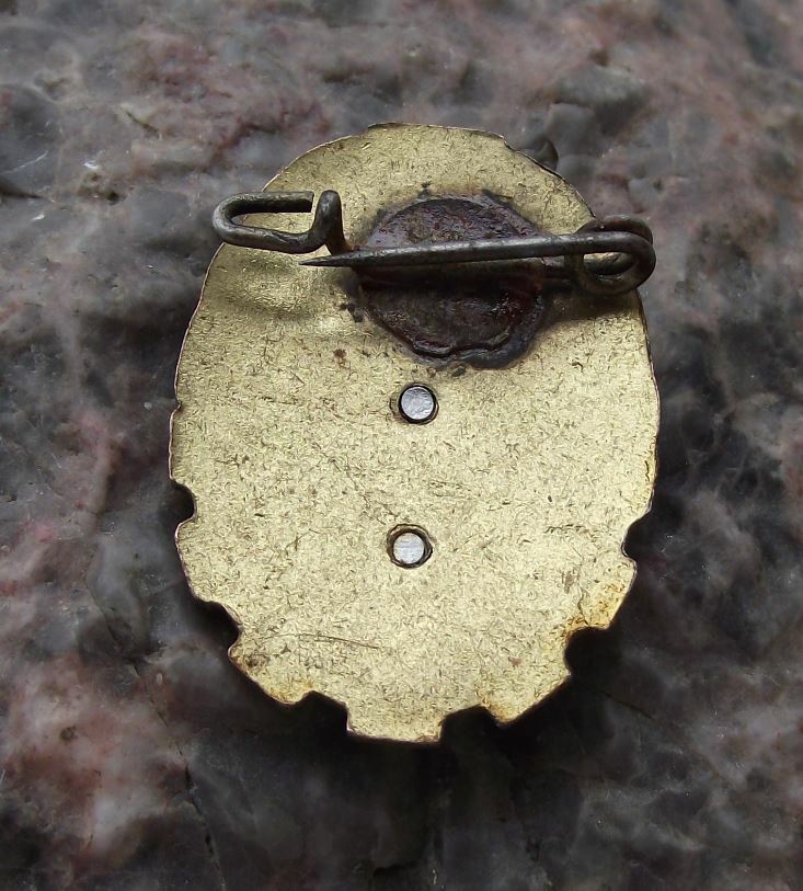 Gesellschaft for Sport und Technik East German Peyoples Army Rifles Pin Badge - Badgecrazy