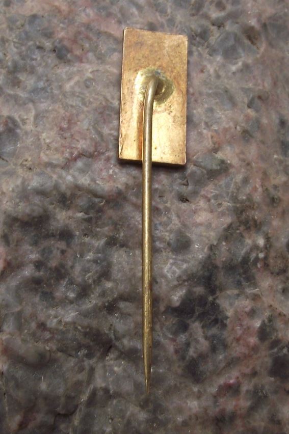 Antique Janske Lazne Spa Resort Cable Car Natural Spring Fountain Pin Badge - Badgecrazy