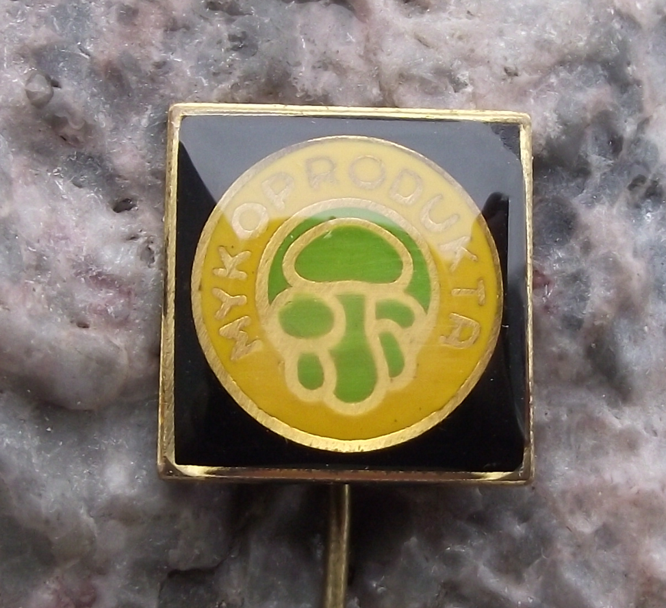 Cluster of Edible Bolete Mushrooms Fungus Mycologist Mykoprodukta Pin Badge - Badgecrazy