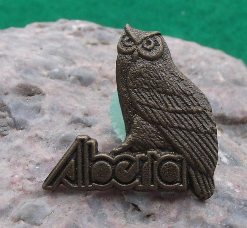 Vintage Alberta Province Western West Canada Great Horned Owl Pin Badge - Badgecrazy