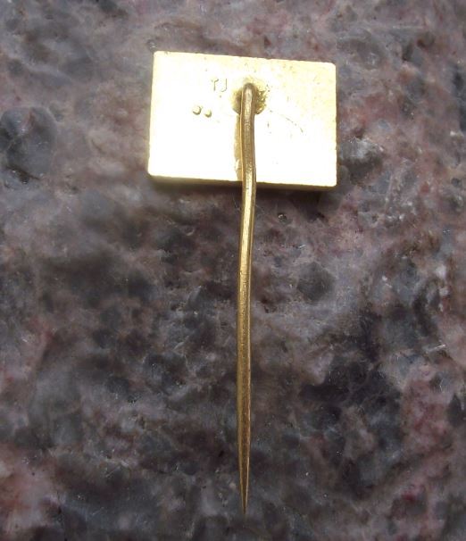 Bezdez Gothic Castle Czechoslovakia Tourist Souvenier Visitors Pin Badge - Badgecrazy