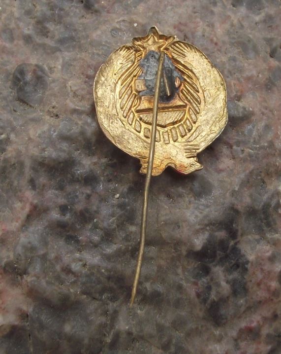 Vintage Hungarian People's Republic Hungary National Emblem Communist Pin Badge